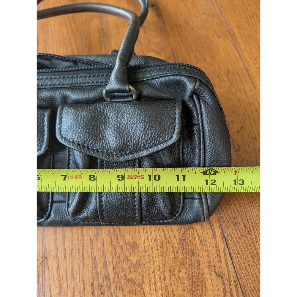 Fossil measurements width